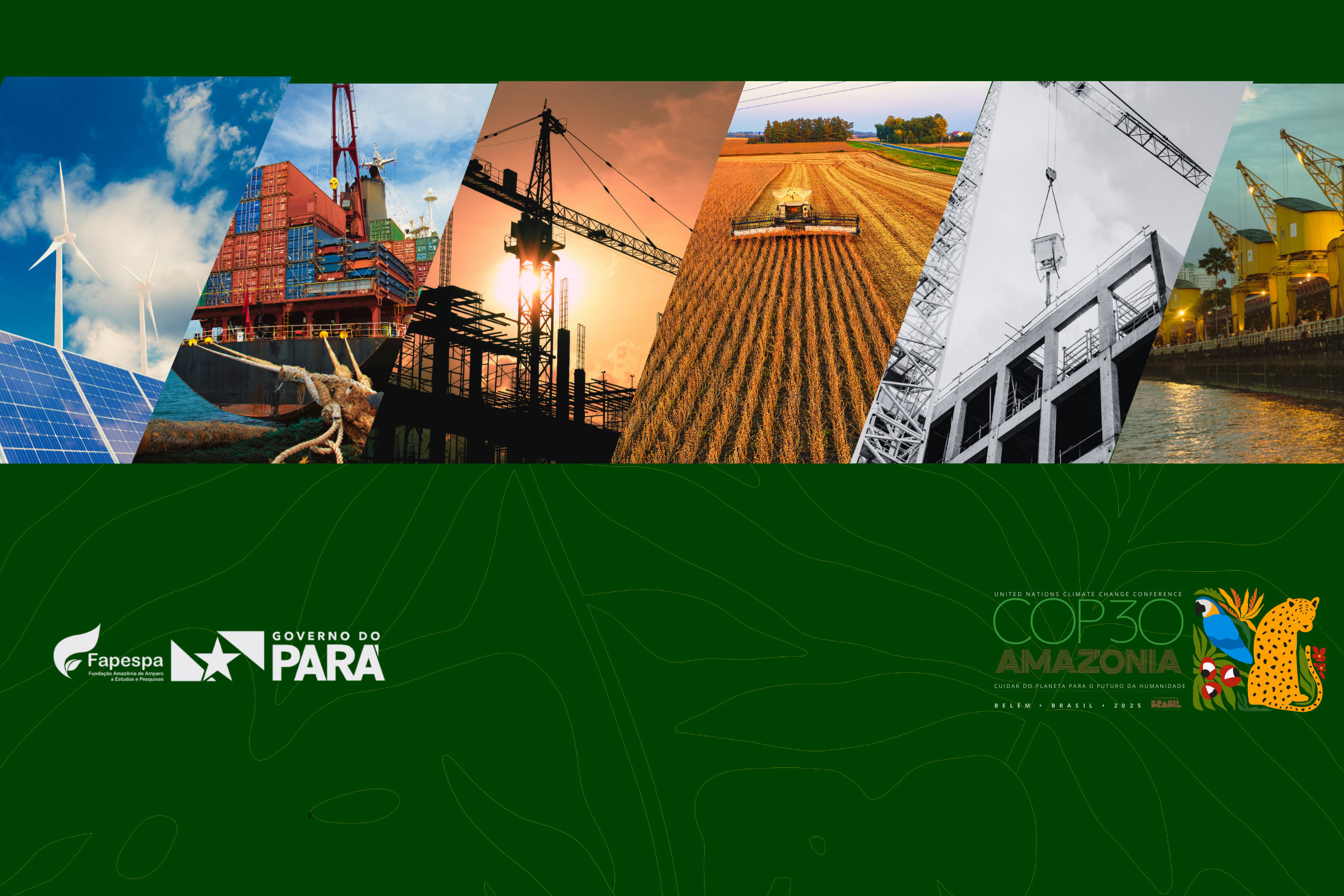 Capa do Anuário Estatístico do Pará da FAPESPA