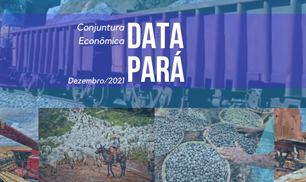 Data Pará