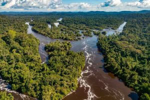 Divulgados aprovados para financiamento de projetos em mudanças climáticas com foco na juventude e comunidades tradicionais